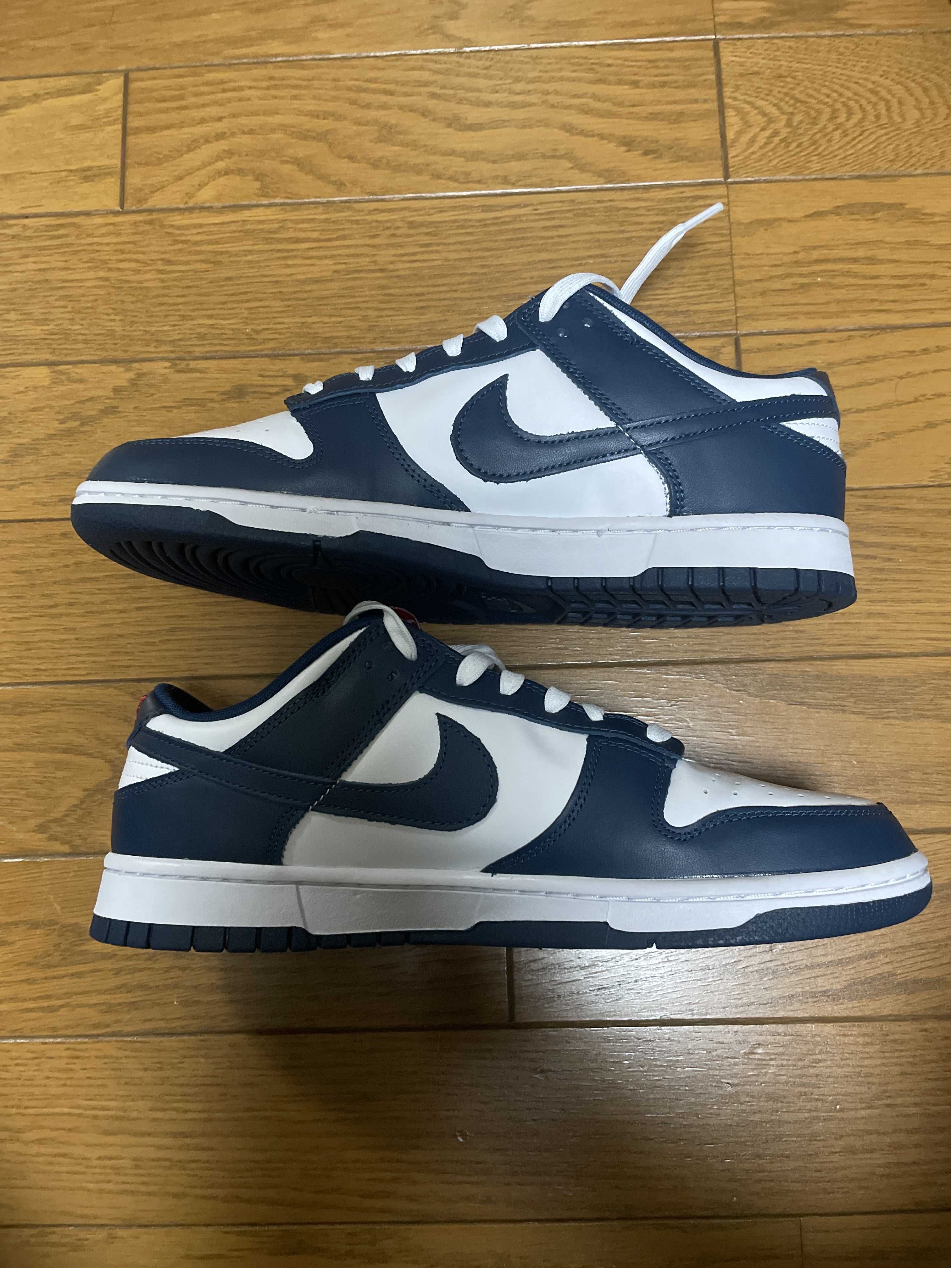 Nike Dunk Low "Valerian Blue"