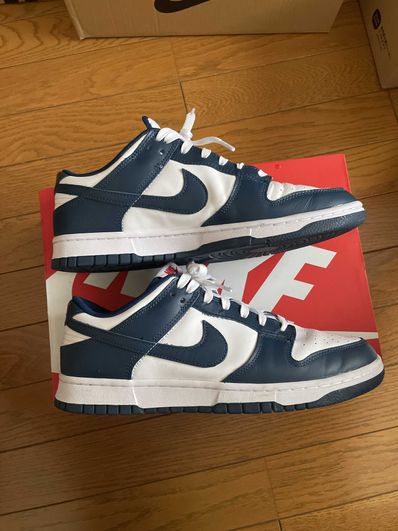 Nike Dunk Low "Valerian Blue"