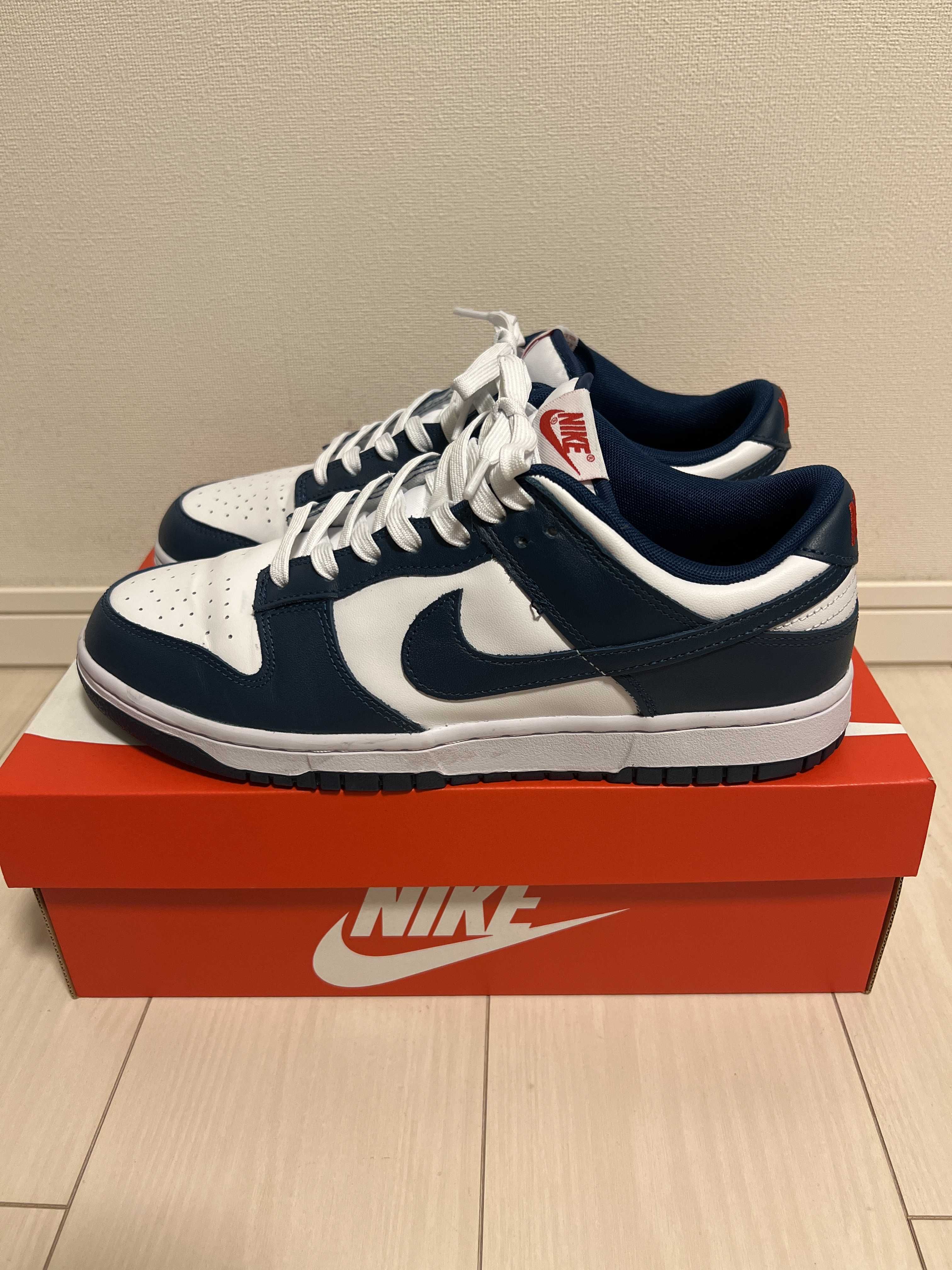 Nike Dunk Low "Valerian Blue"