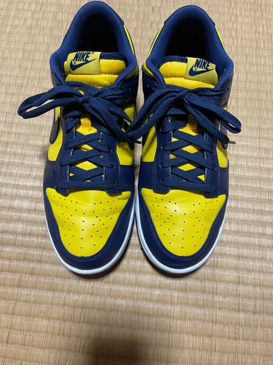 Nike Dunk Low "Michigan"