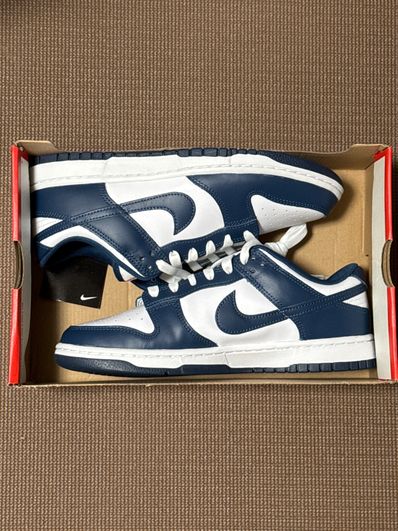 Nike Dunk Low "Valerian Blue"