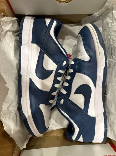 Nike Dunk Low "Valerian Blue"