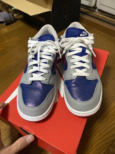 Nike Dunk Low "Samba"