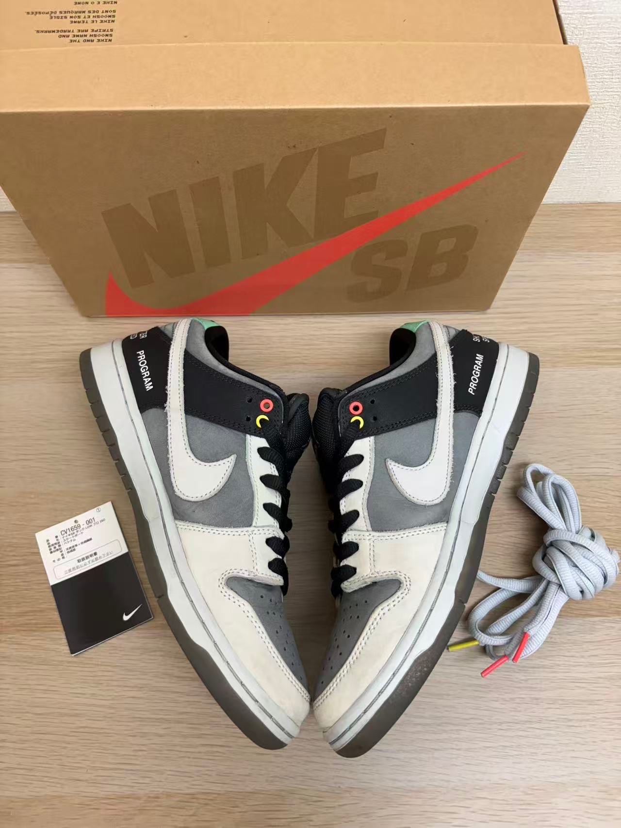 Nike SB Dunk Low Pro "VX1000 Camcorder"