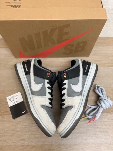 Nike SB Dunk Low Pro "VX1000 Camcorder"