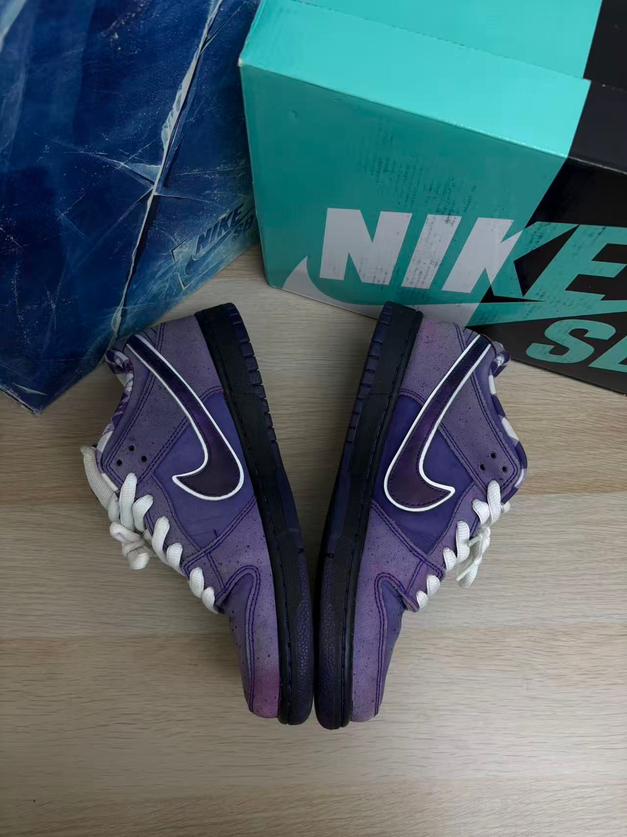 Concepts × Nike SB Dunk Low "Purple Lobster" (Special Box)