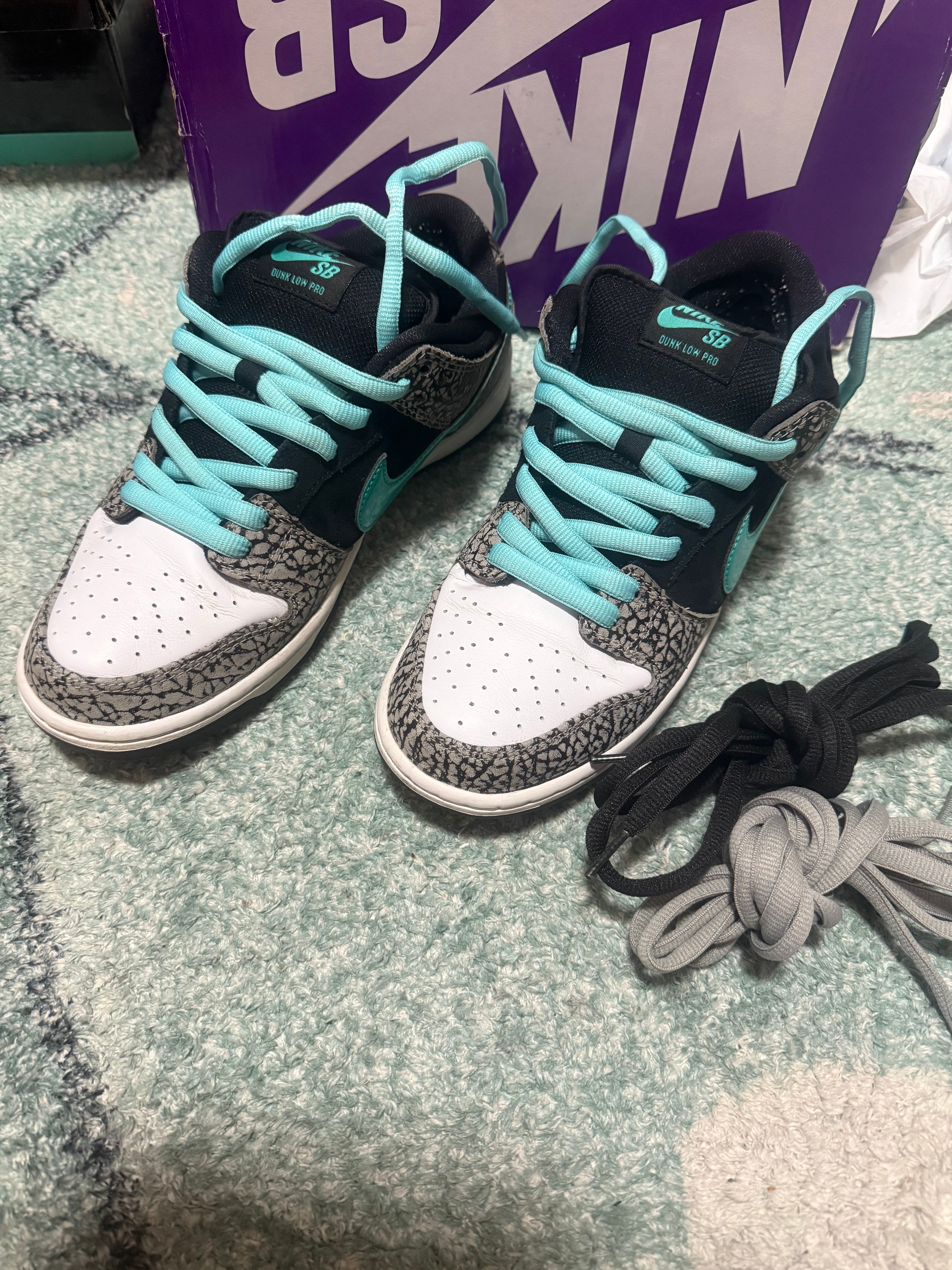 Nike SB Dunk Low 