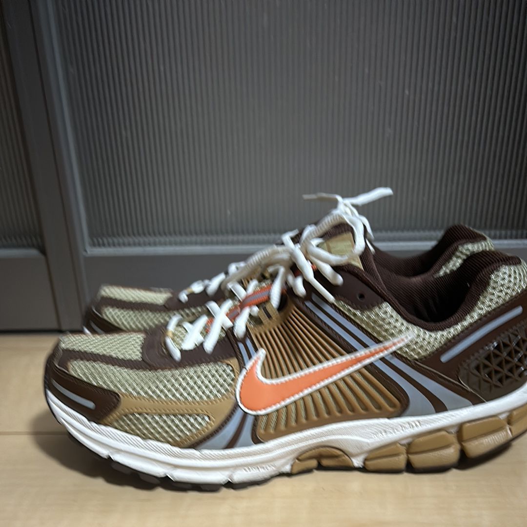 Nike Zoom Vomero 5 "Wheat Grass and Cacao Wow"