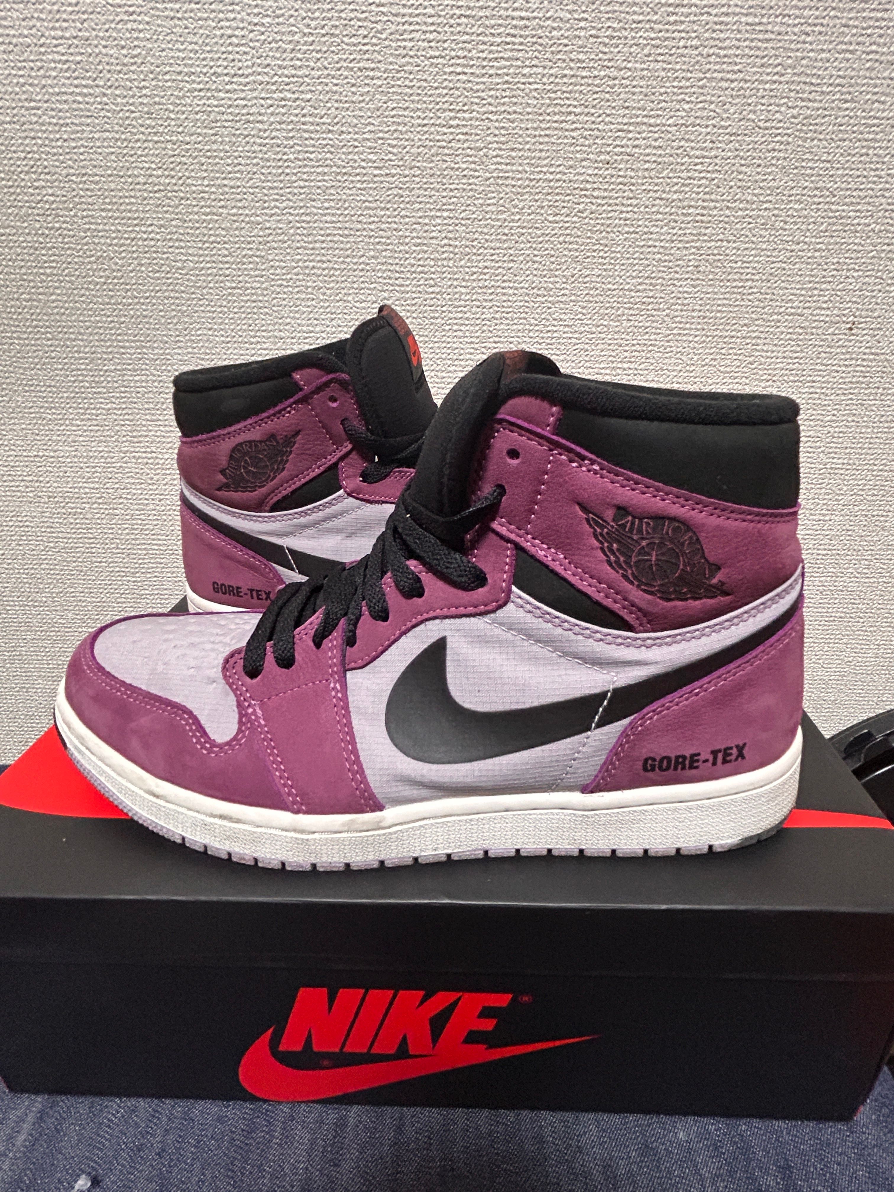 Nike Air Jordan 1 Element GORE-TEX "Berry"