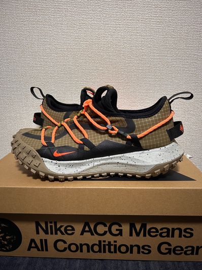 Nike ACG Mountain Fly Low GORE-TEX SE "Brown"