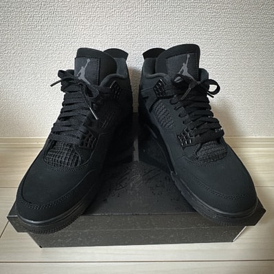 Nike Air Jordan 4 Retro OG "Black Cat" (2025)