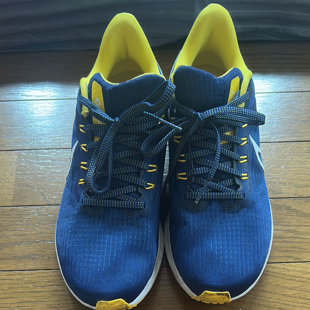 ナイキ エアズームペガサス37 "ロサンゼルスラムズ"