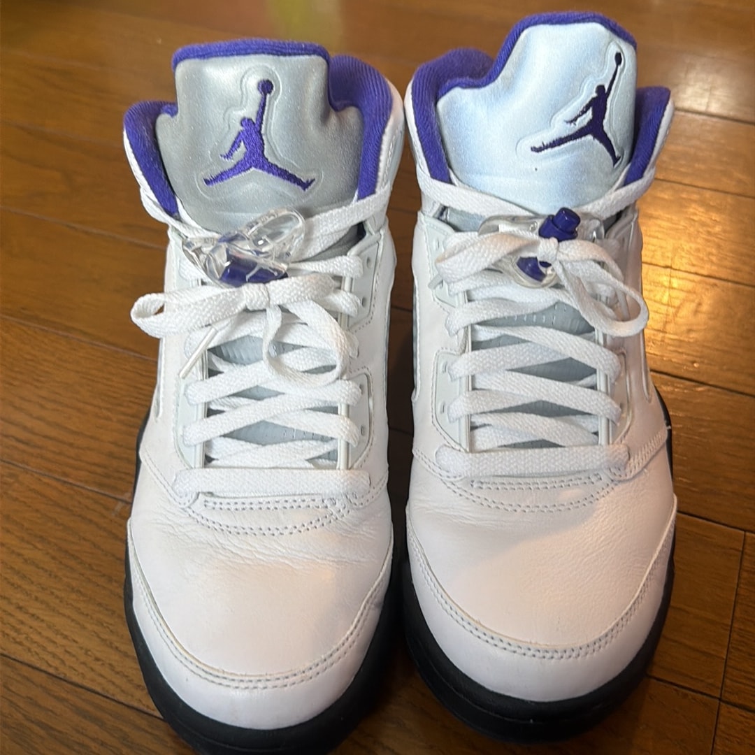 Nike Air Jordan 5 "Dark Concord"