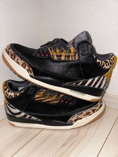 Nike Air Jordan 3 Retro SE "Animal Instinct/Safari"