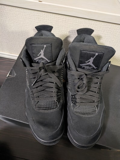 Nike Air Jordan 4 "Black Cat"