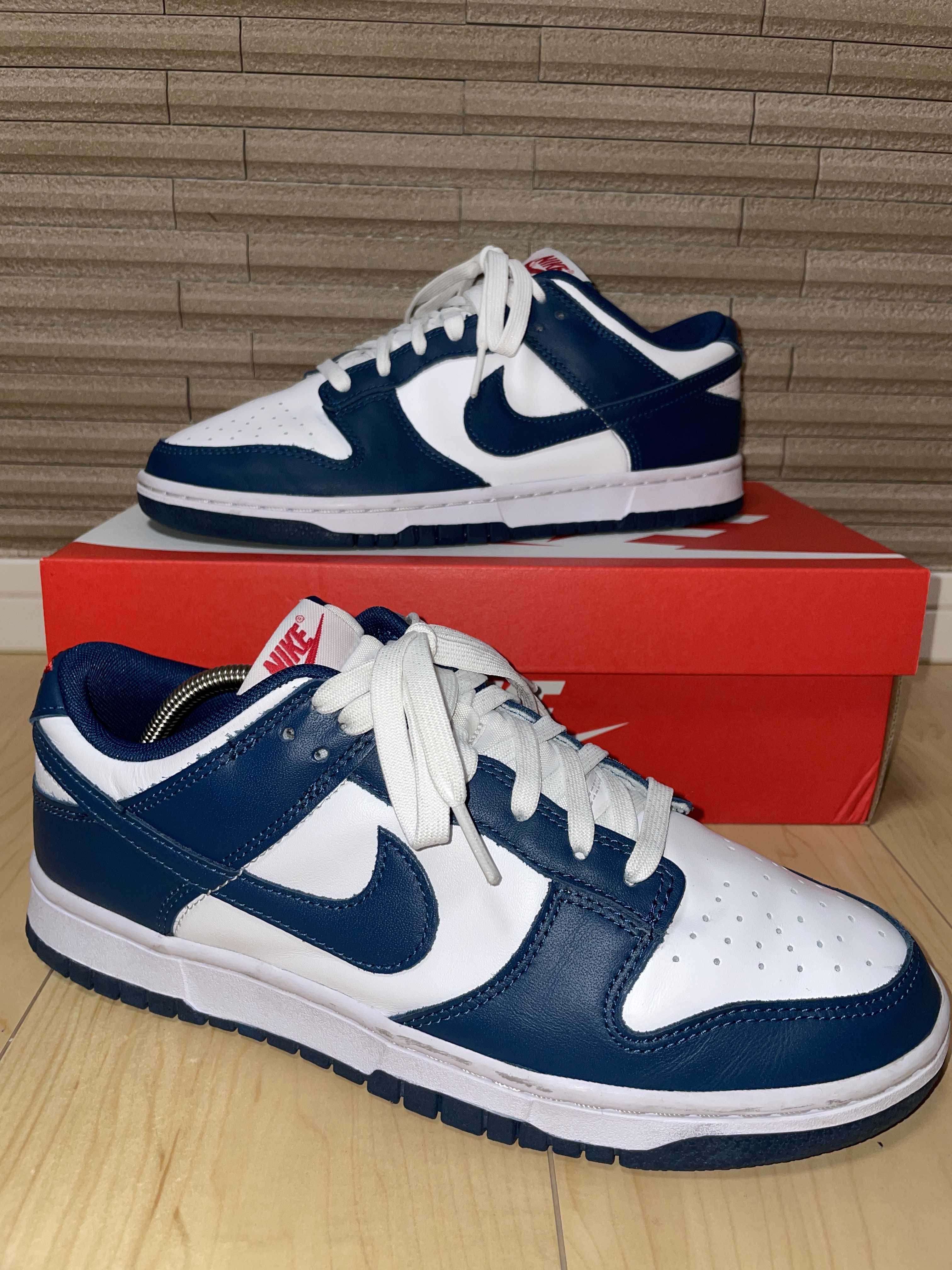 Nike Dunk Low "Valerian Blue"