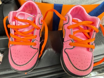 The Powerpuff Girls × Nike SB TD Dunk Low Pro QS "Blossom"