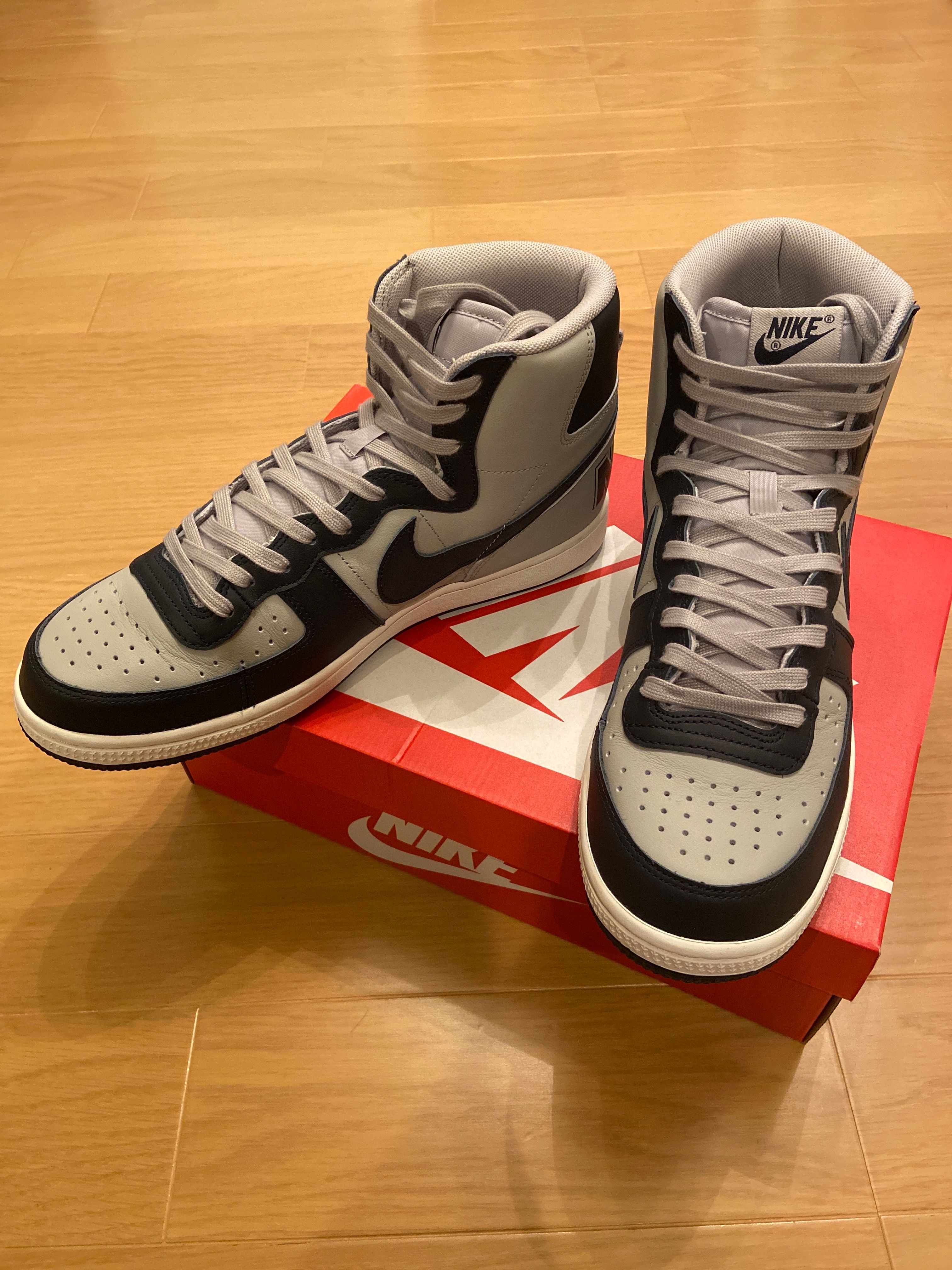 Nike Terminator High "Georgetown/Granite and Dark Obsidian"(2022)