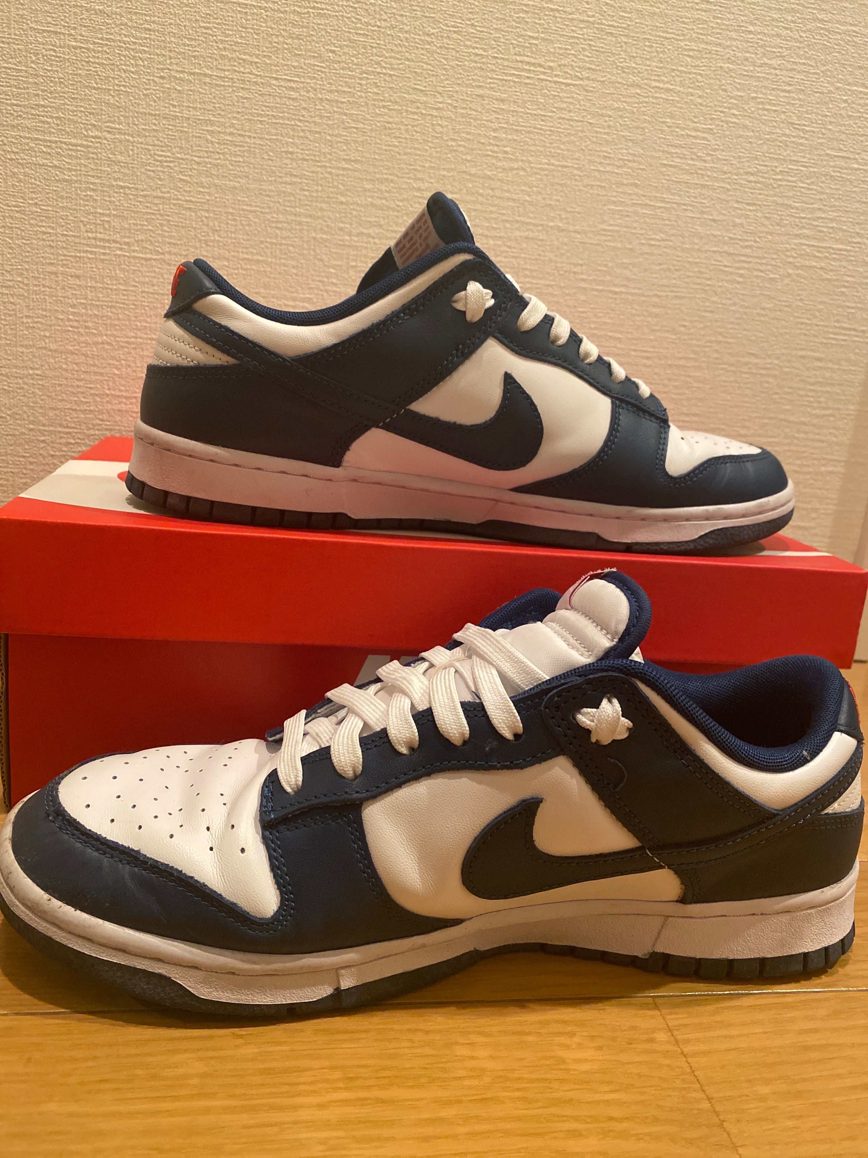 Nike Dunk Low "Valerian Blue"