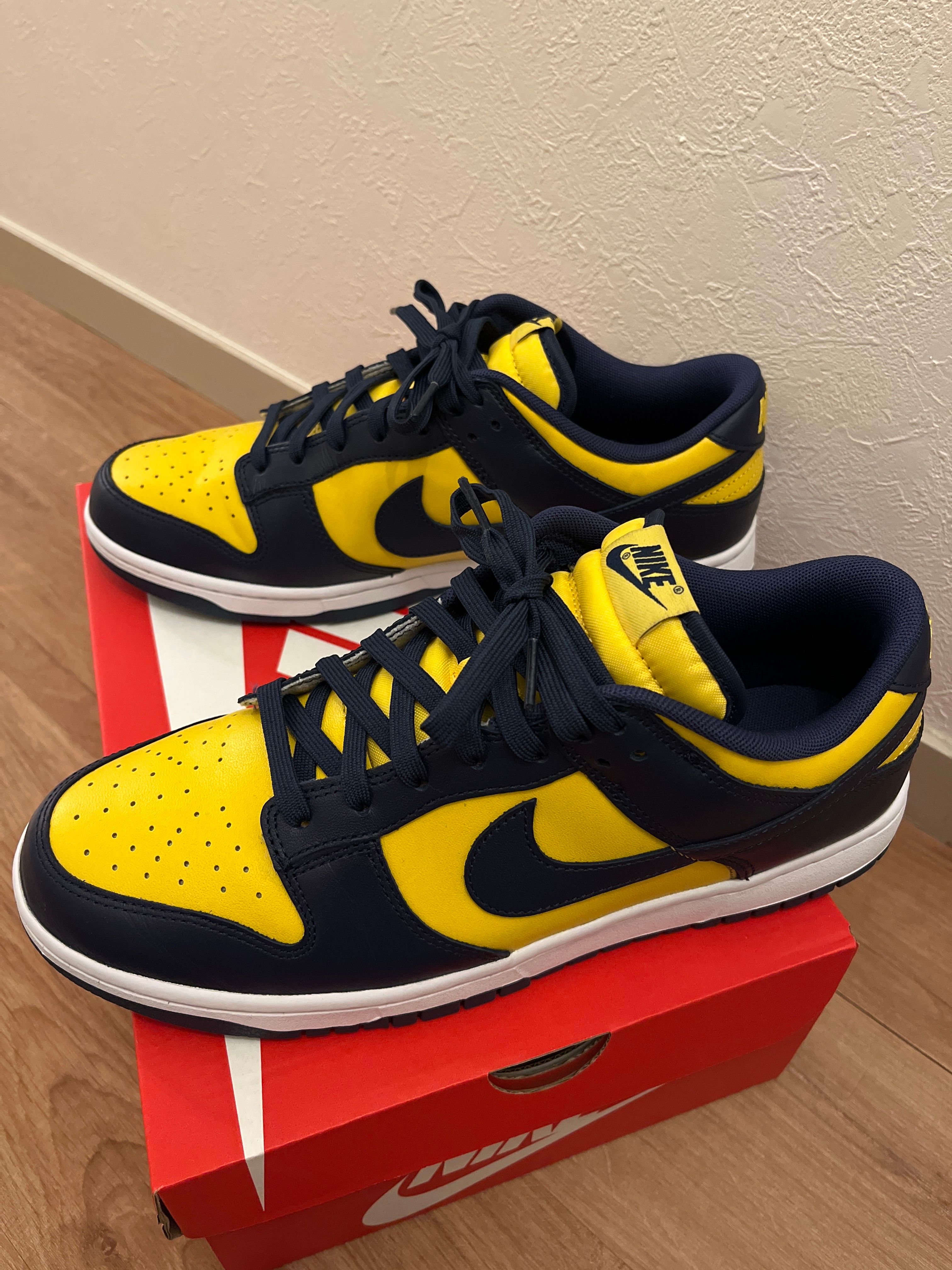 Nike Dunk Low "Michigan"