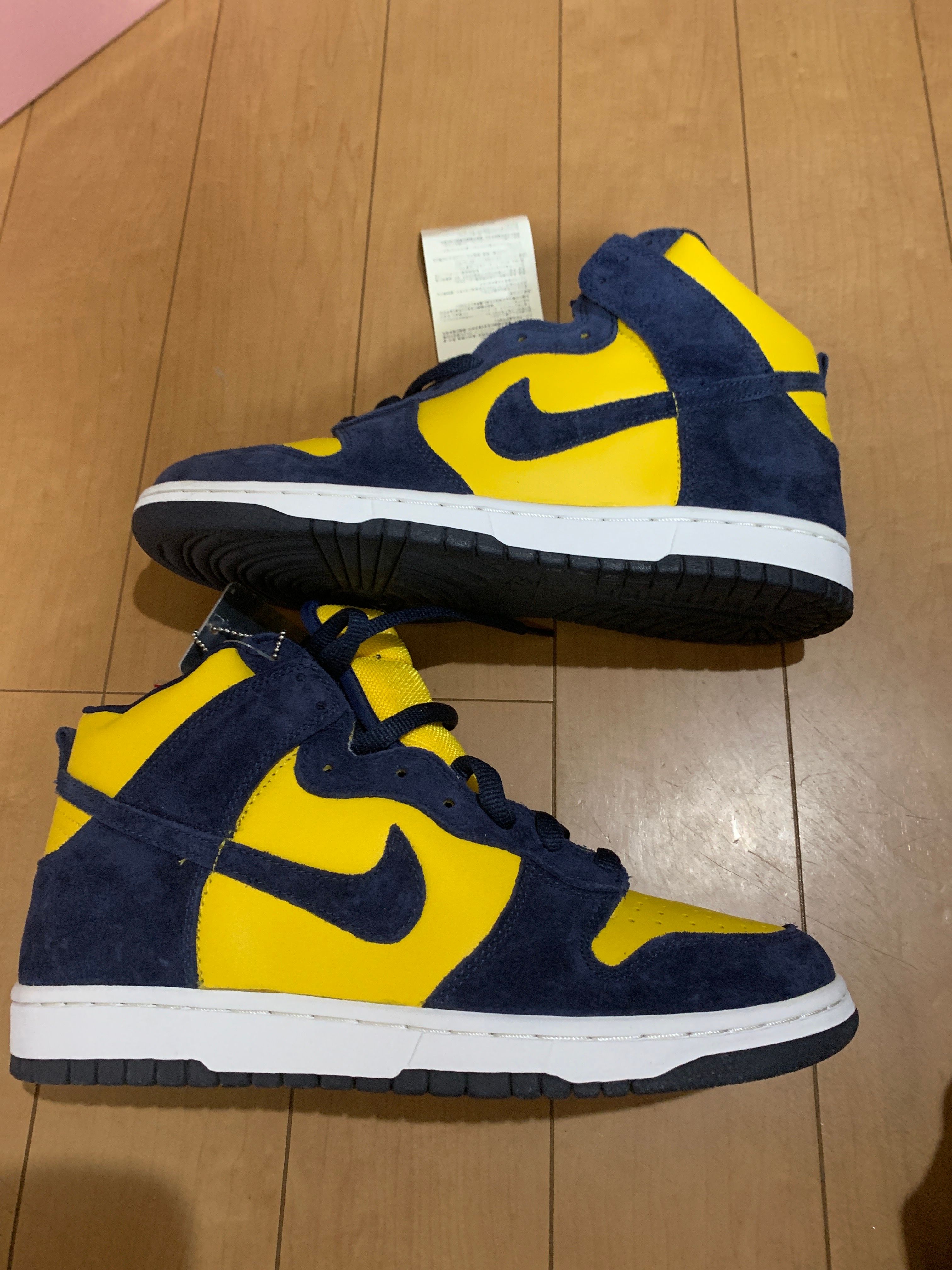 Nike SB Dunk High "Michigan" (2005)