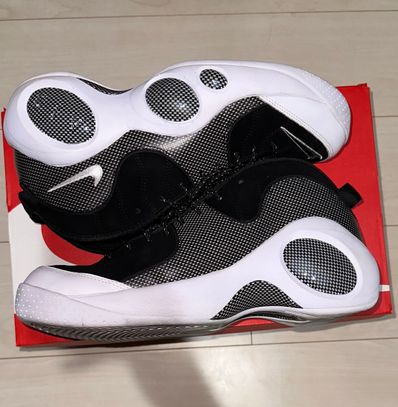 Nike Air Zoom Flight 95 "Black Metallic" (2022)