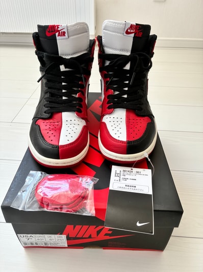 Nike Air Jordan 1 Retro High OG "Homage To Home"
