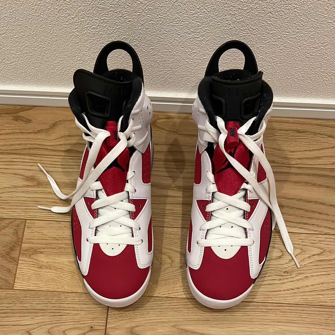 Nike Air Jordan 6 "Carmine" (2021)