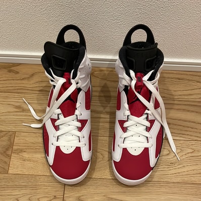 Nike Air Jordan 6 "Carmine" (2021)