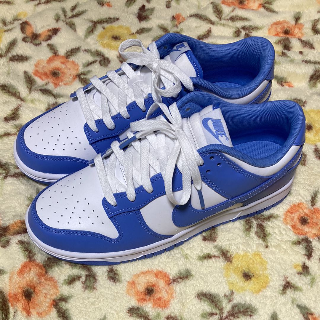 Nike Dunk Low Retro BTTYS "Polar Blue"