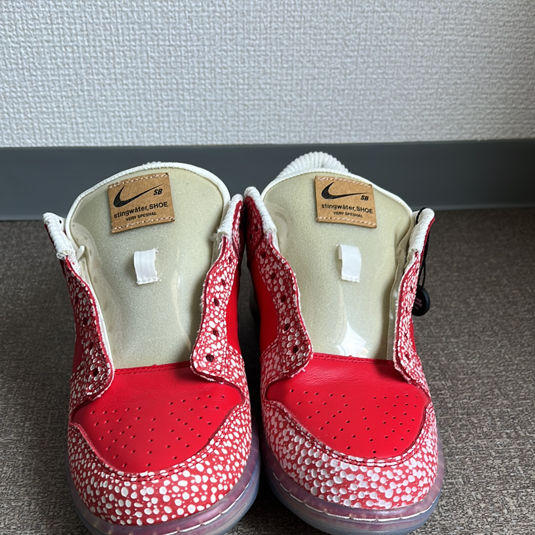 スティングウォーター × ナイキ SB ダンク ロー 