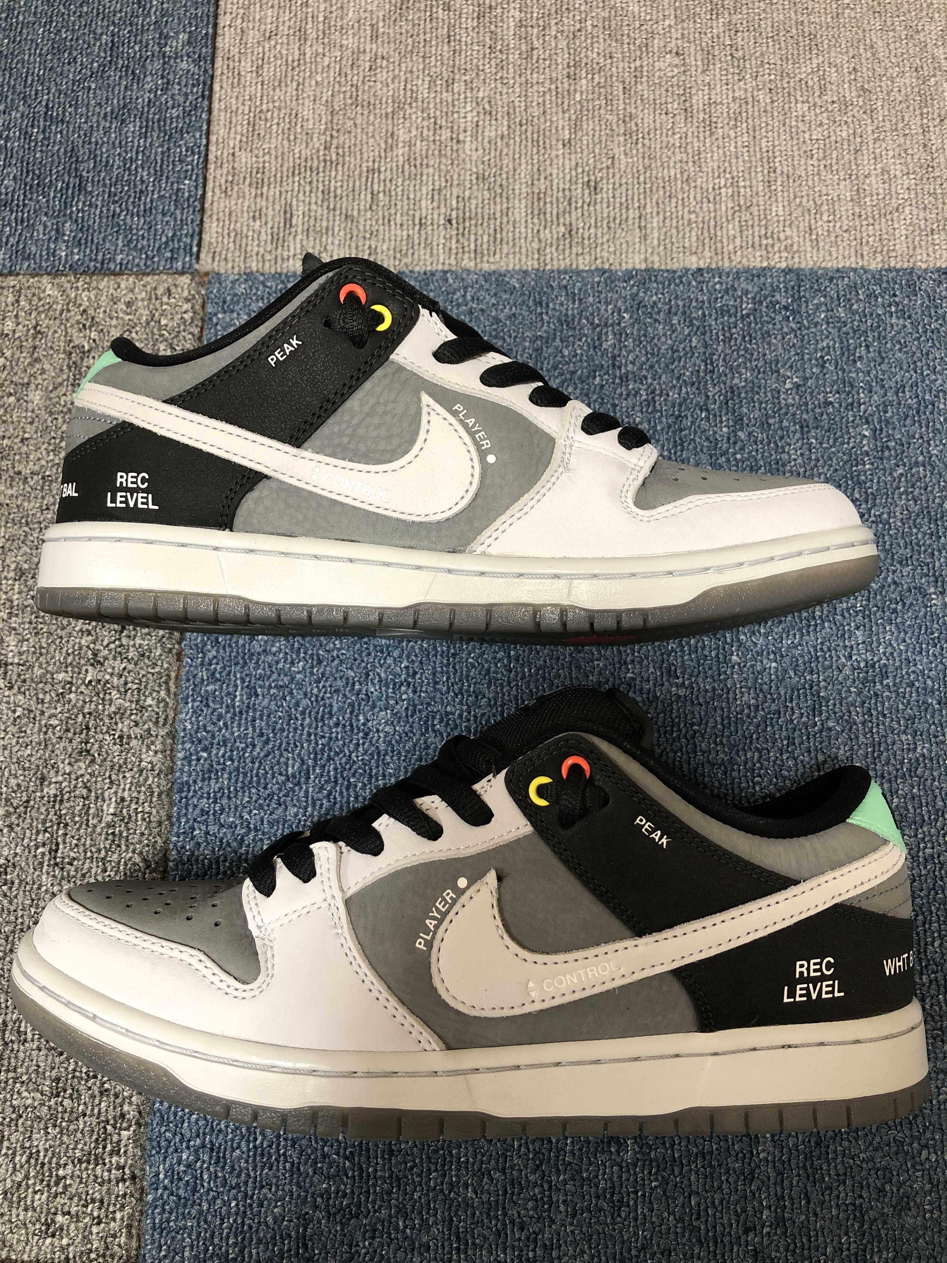 Nike SB Dunk Low Pro "VX1000 Camcorder"