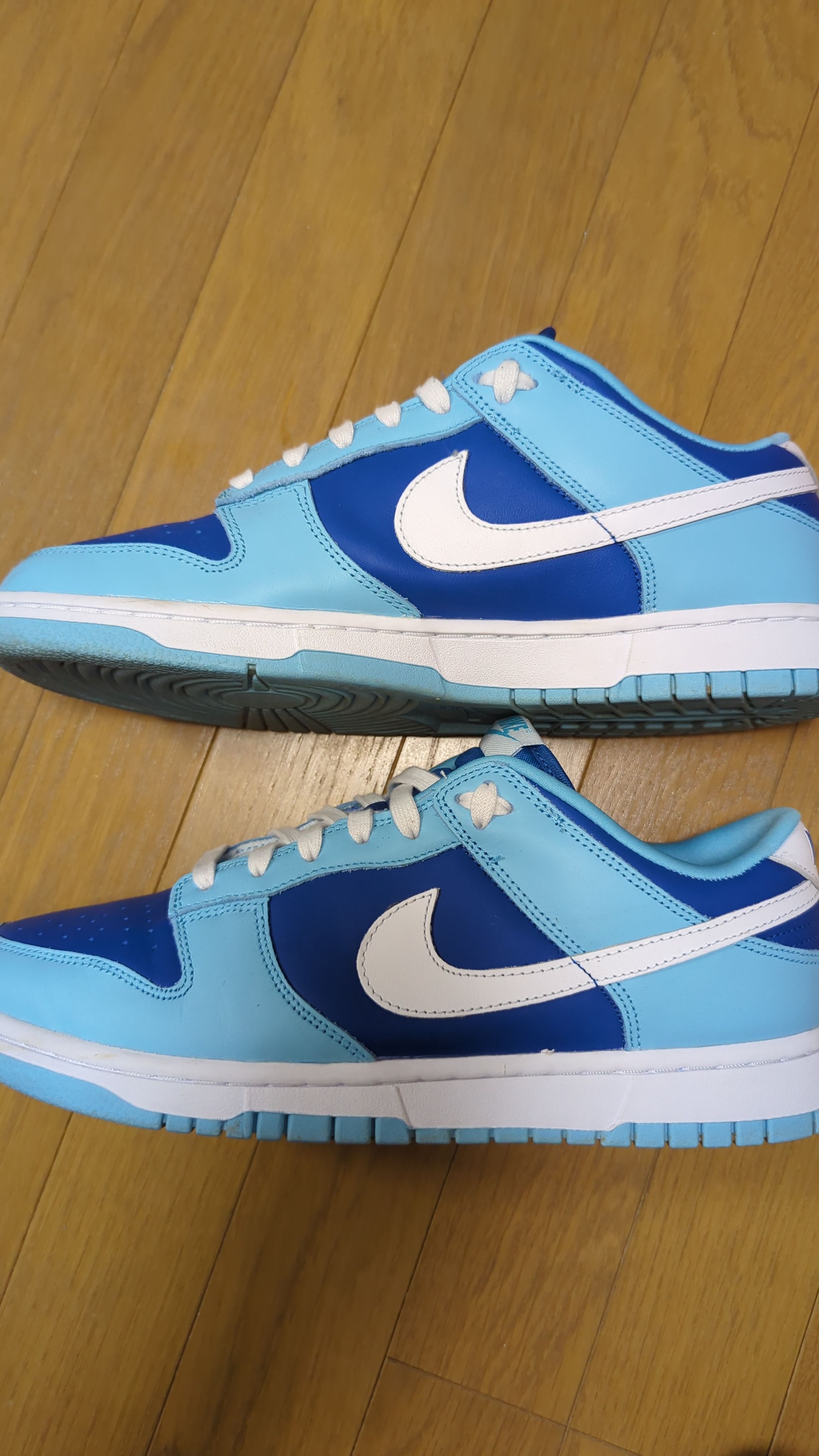 Nike Dunk Low Retro QS "Argon" (2022)