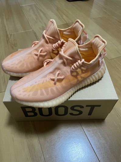 adidas YEEZY Boost 350 V2 "Mono Clay"