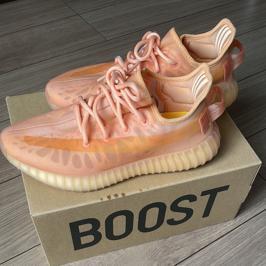 adidas YEEZY Boost 350 V2 "Mono Clay"