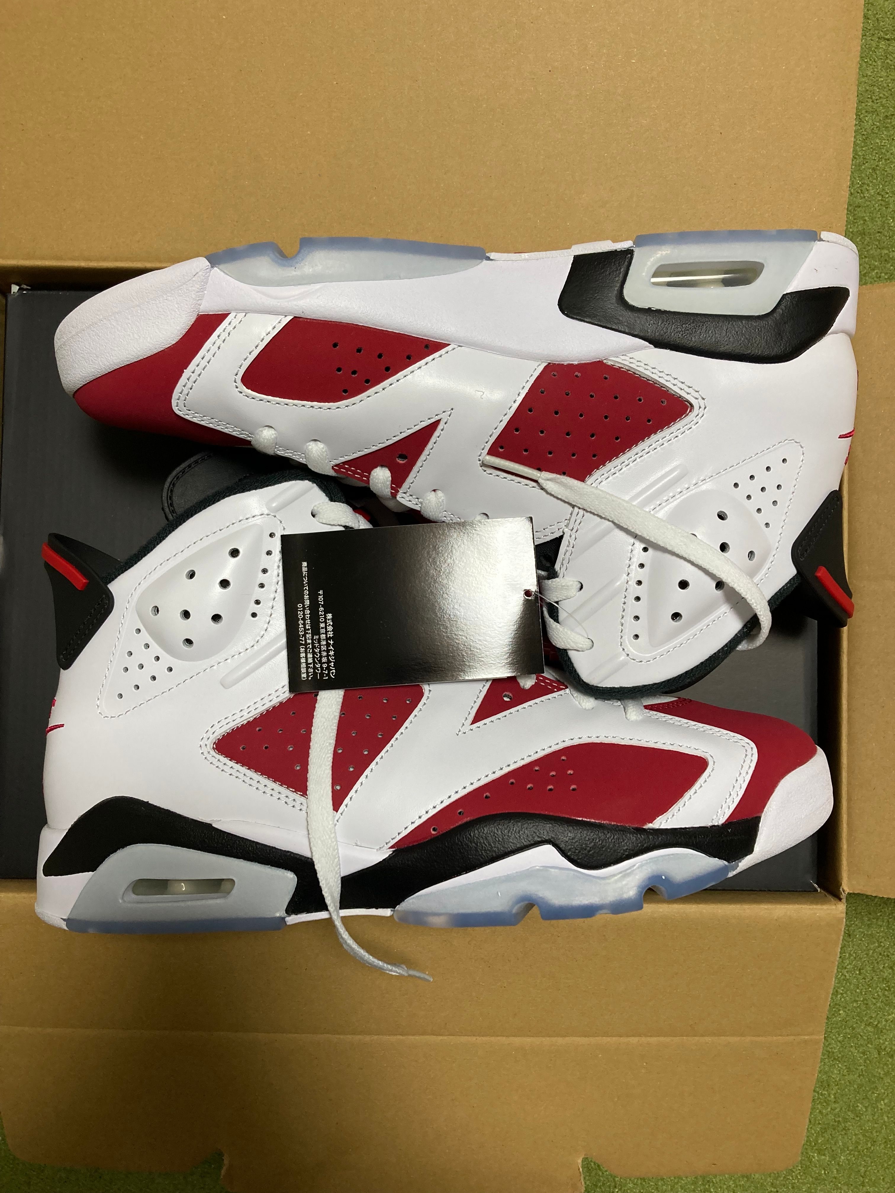 Nike Air Jordan 6 "Carmine" (2021)