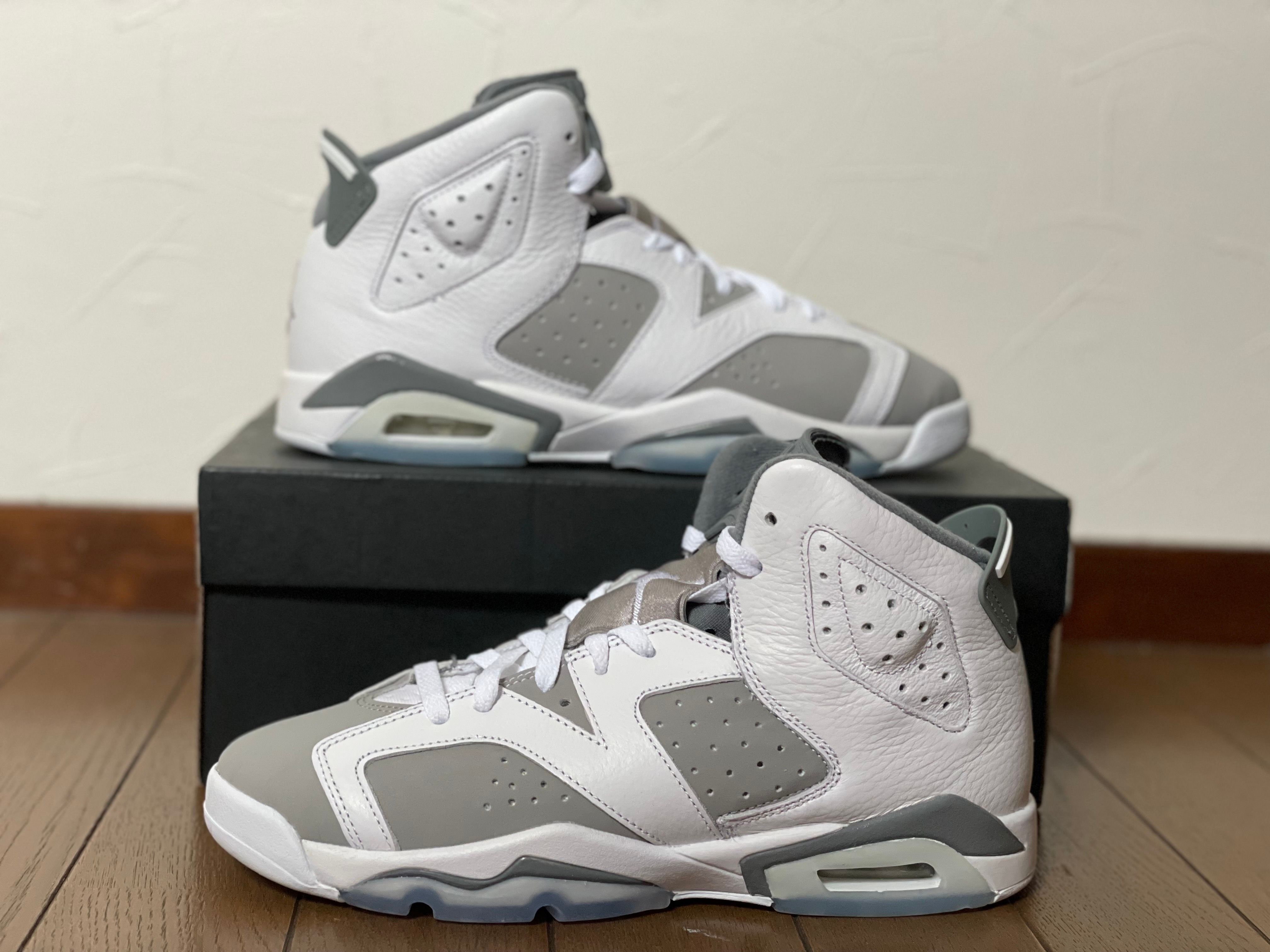 Nike GS Air Jordan 6 "Cool Grey"