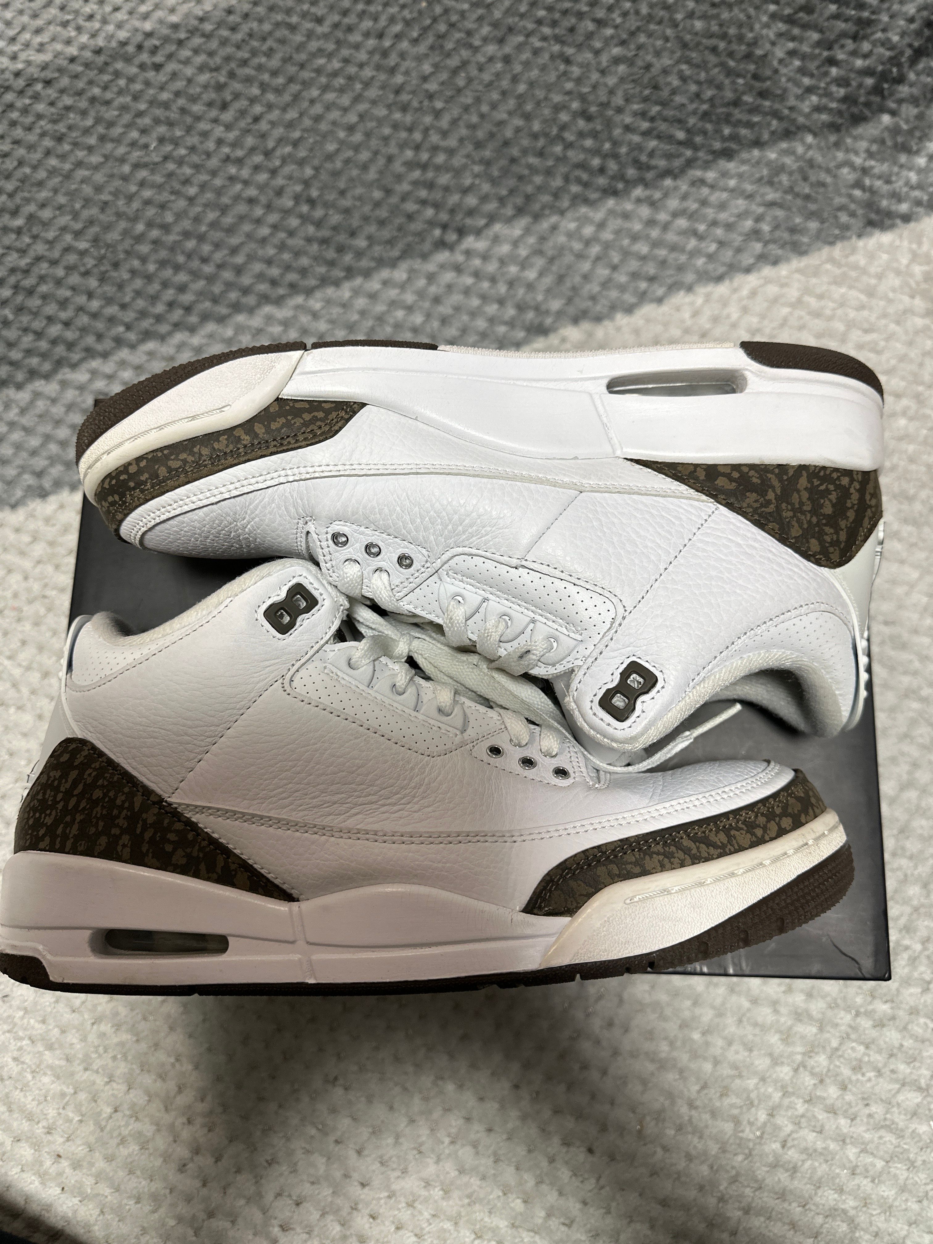 Nike Air Jordan 3 Retro "Mocha" (2018)