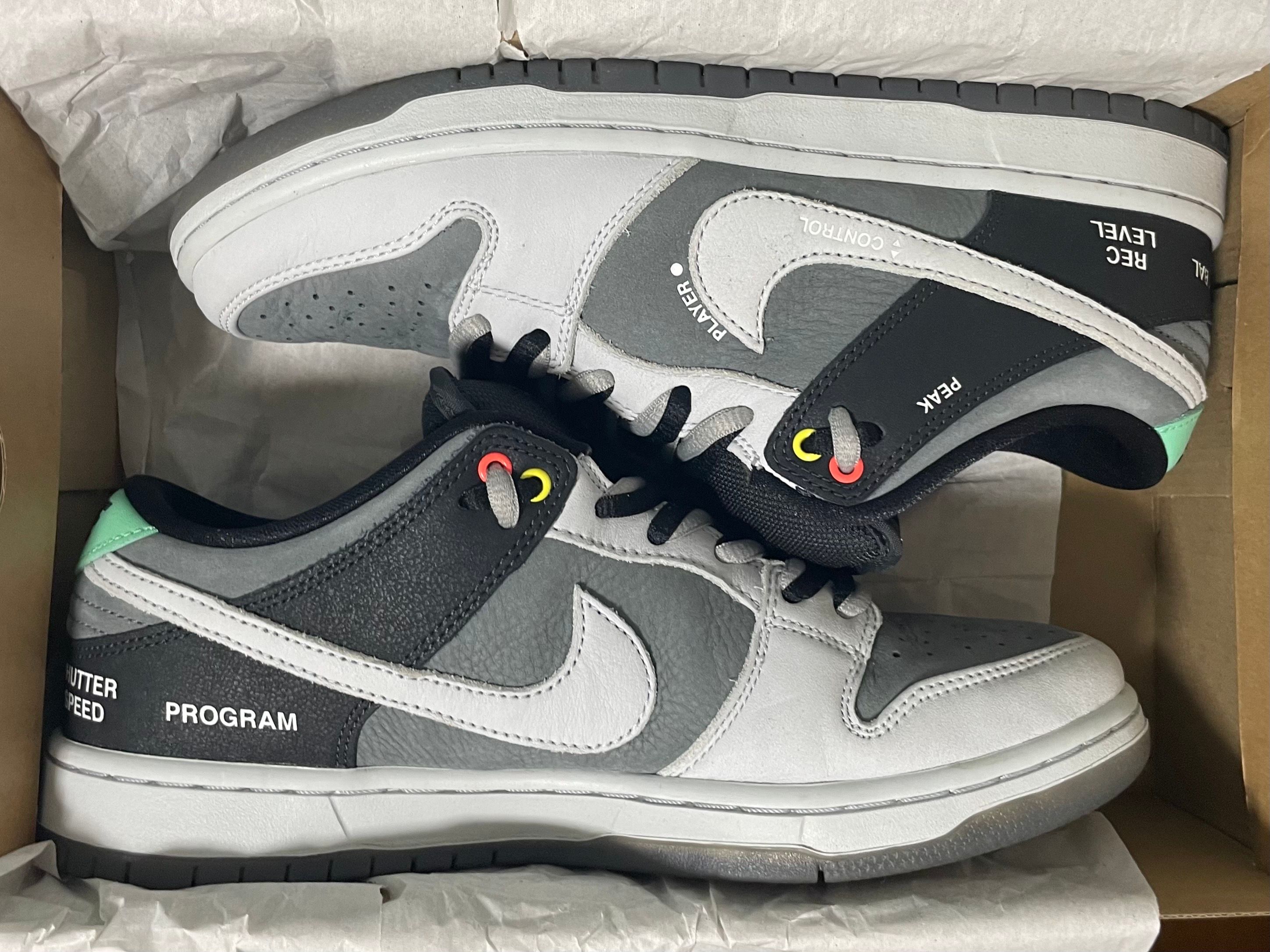 Nike SB Dunk Low Pro "VX1000 Camcorder"