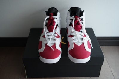 Nike Air Jordan 6 GS "Carmine" (2021)