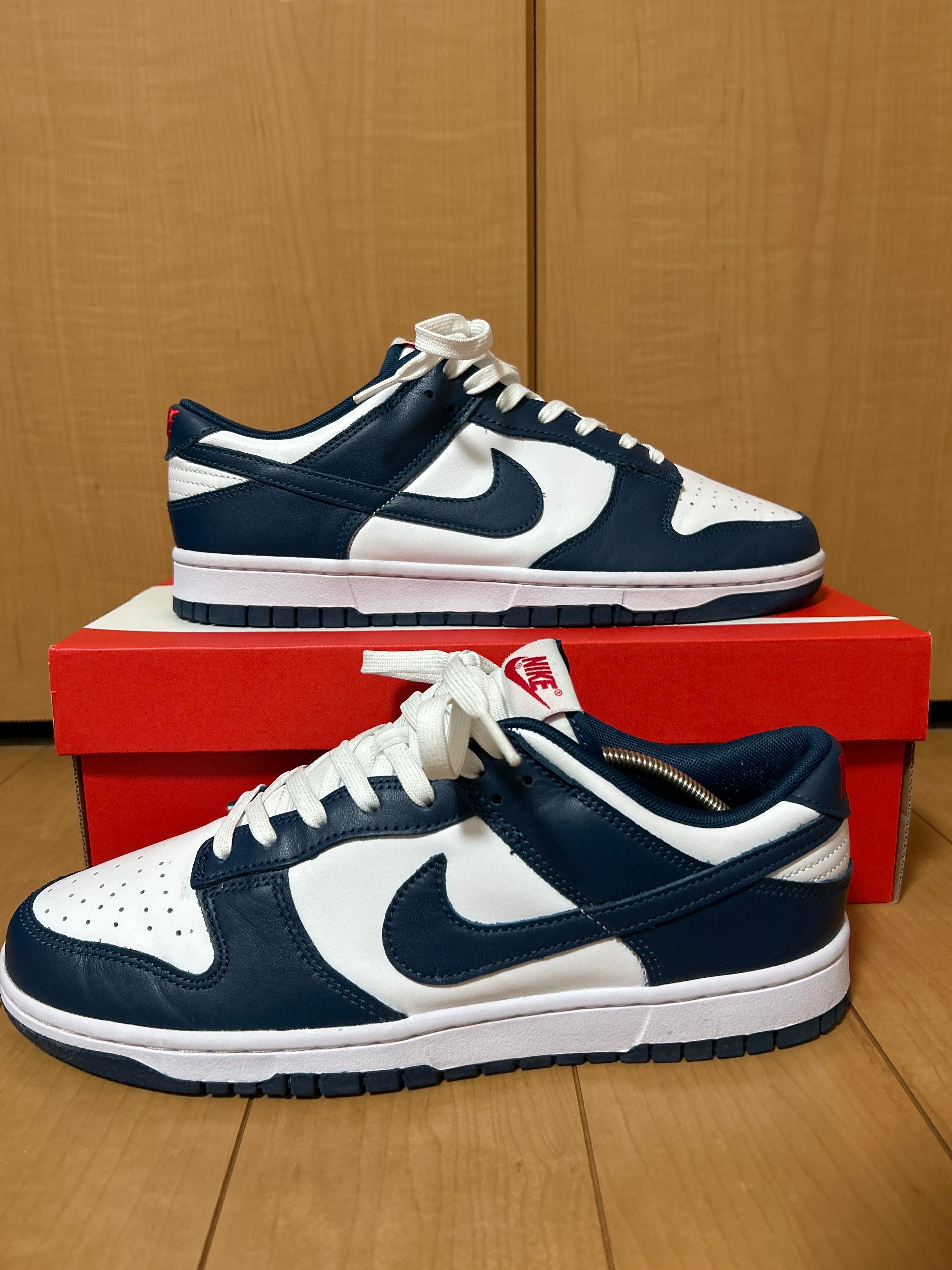 Nike Dunk Low "Valerian Blue"