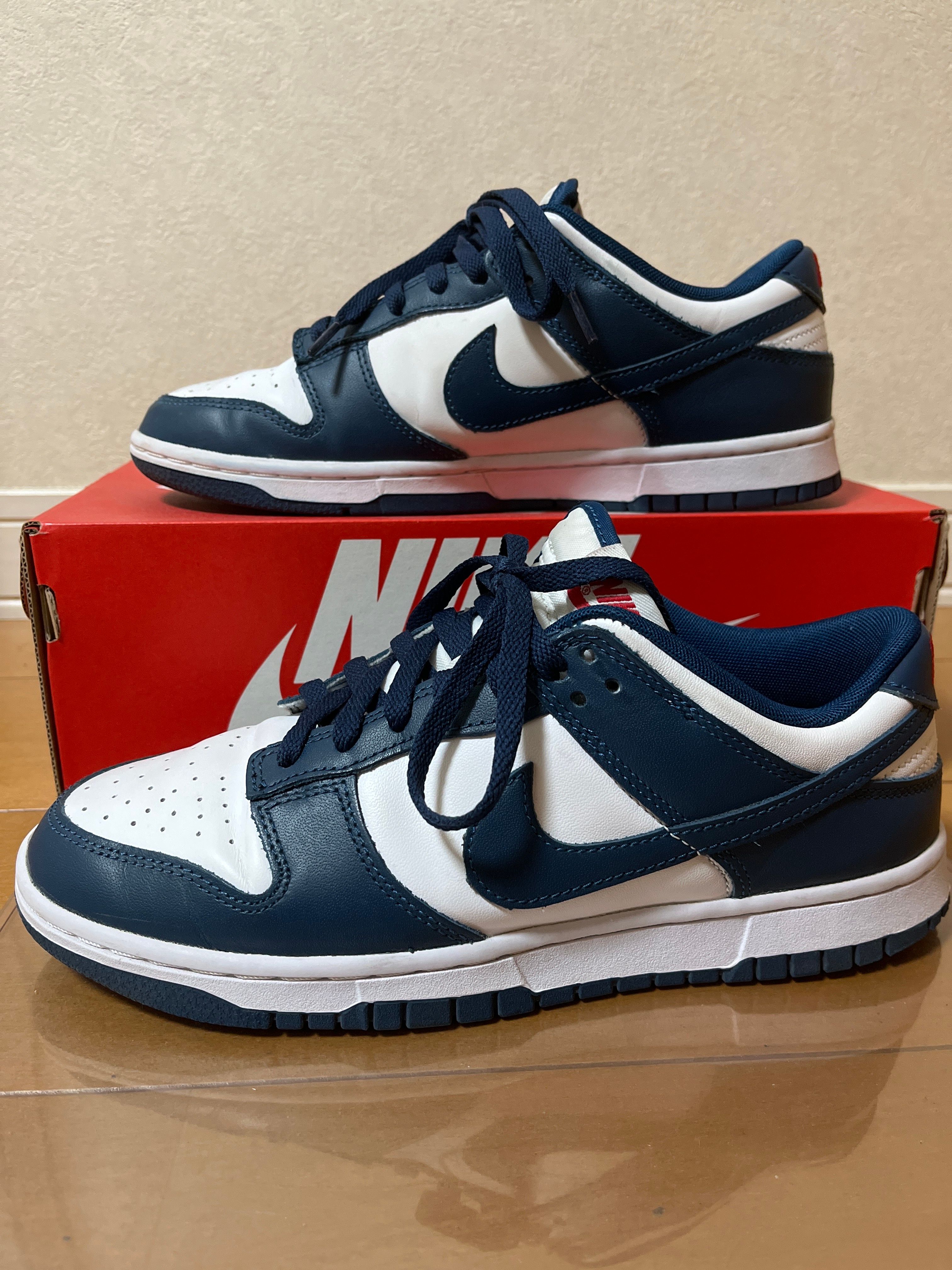 Nike Dunk Low "Valerian Blue"