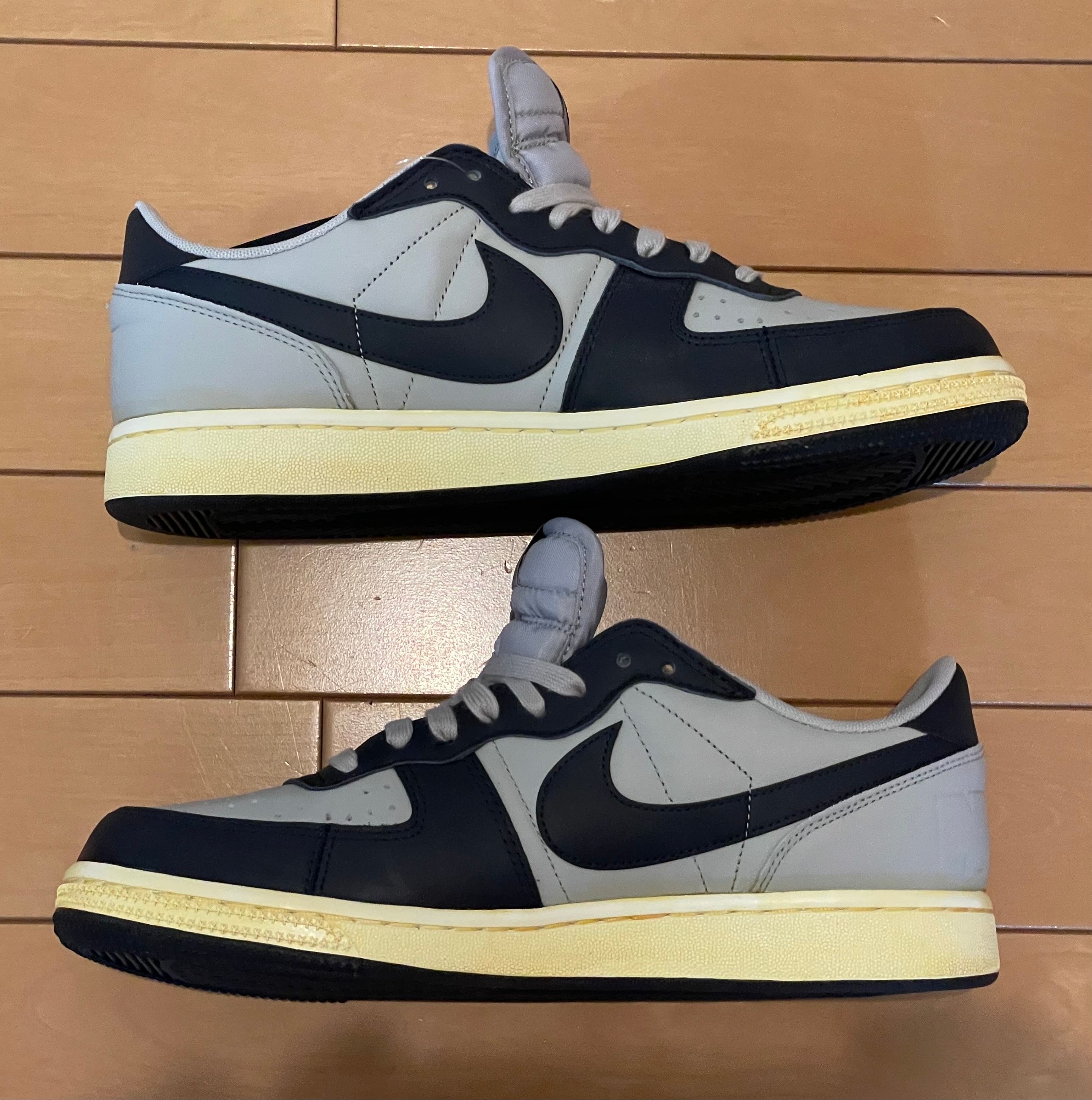 Nike Terminator Low "Dark Obsidian and Granite/Georgetown"(2023)