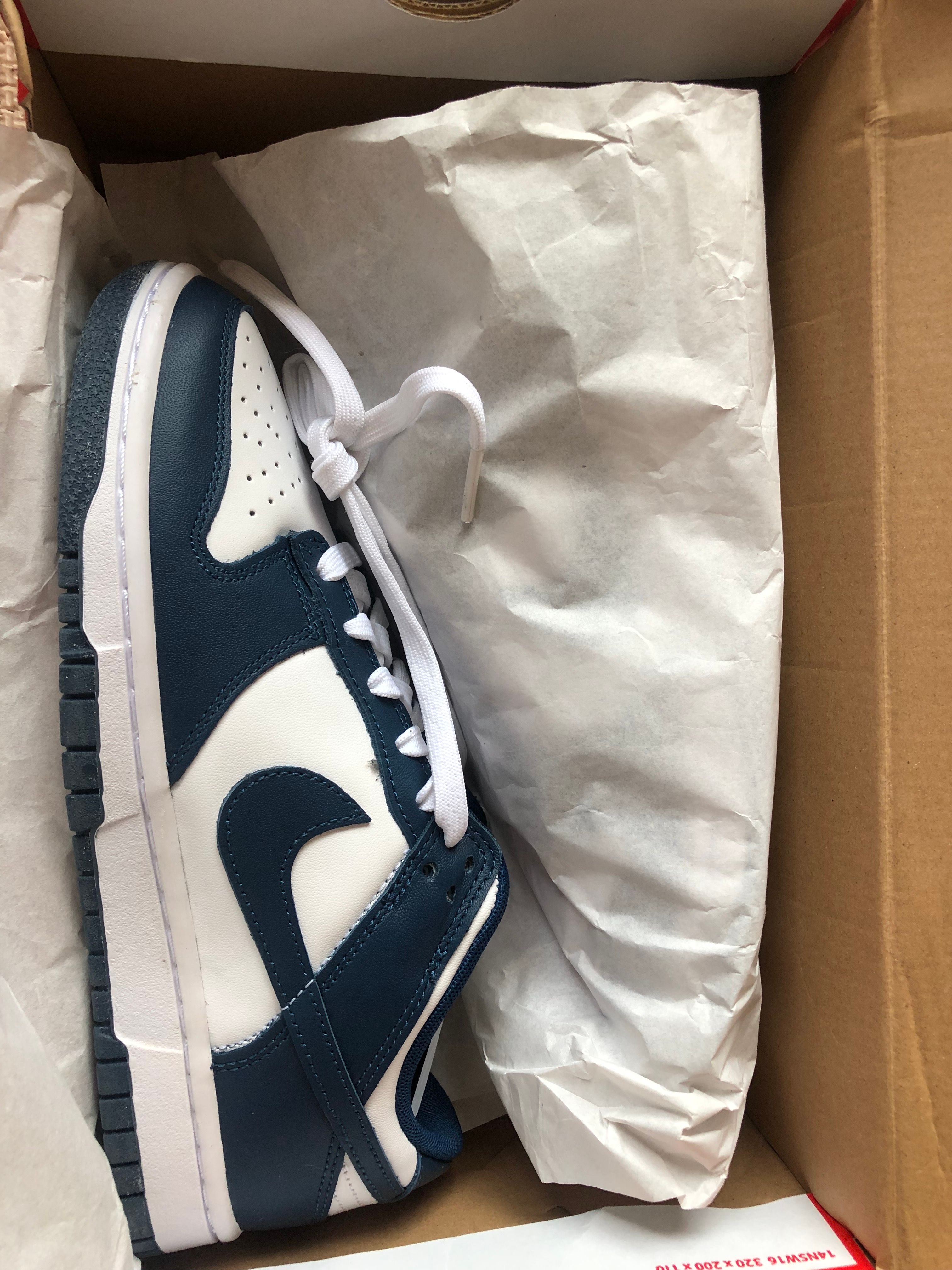 Nike Dunk Low "Valerian Blue"