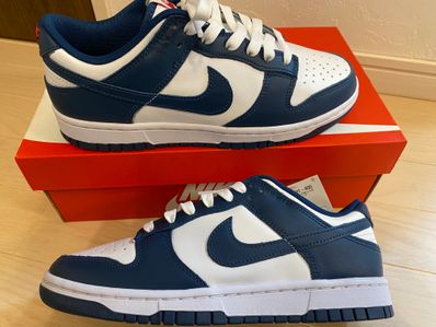 Nike Dunk Low "Valerian Blue"