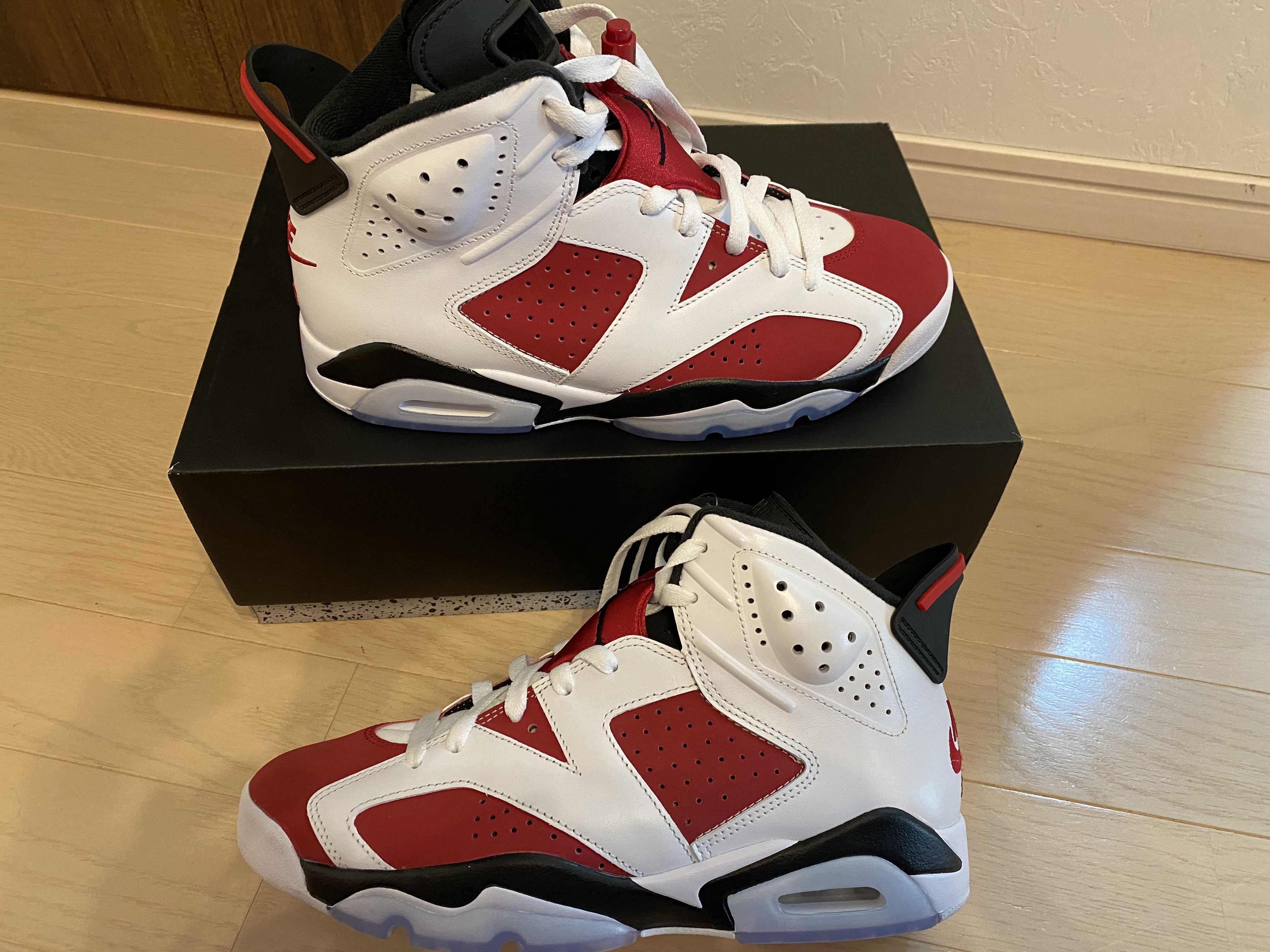Nike Air Jordan 6 "Carmine" (2021)