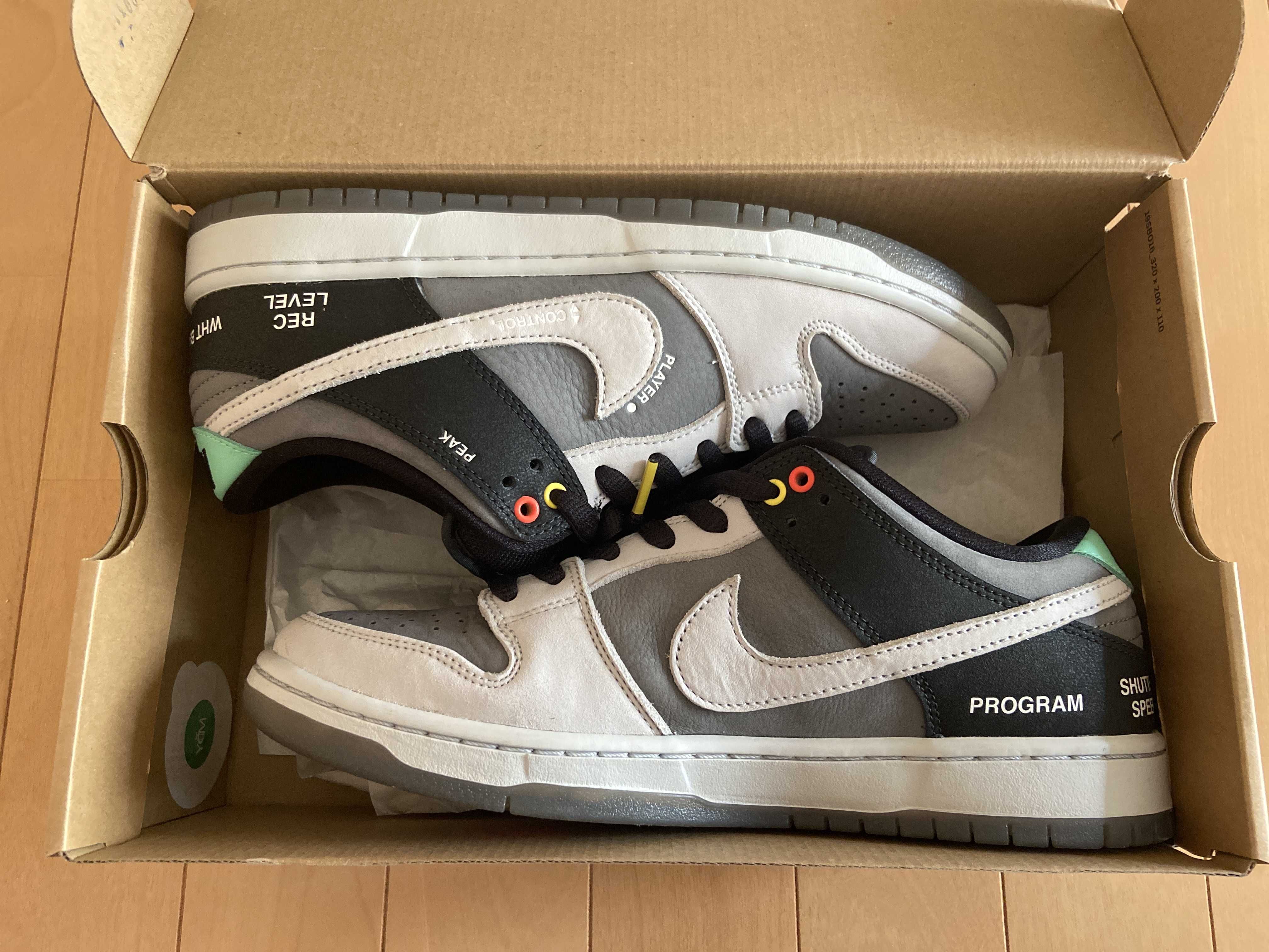 Nike SB Dunk Low Pro "VX1000 Camcorder"