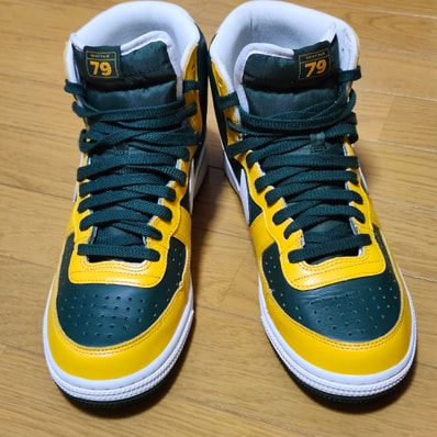 Nike Terminator High "Seattle" (2004)