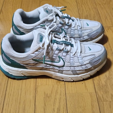 Nike P-6000 PRM "Light Bone/Metallic Silver/Bicostal/White"