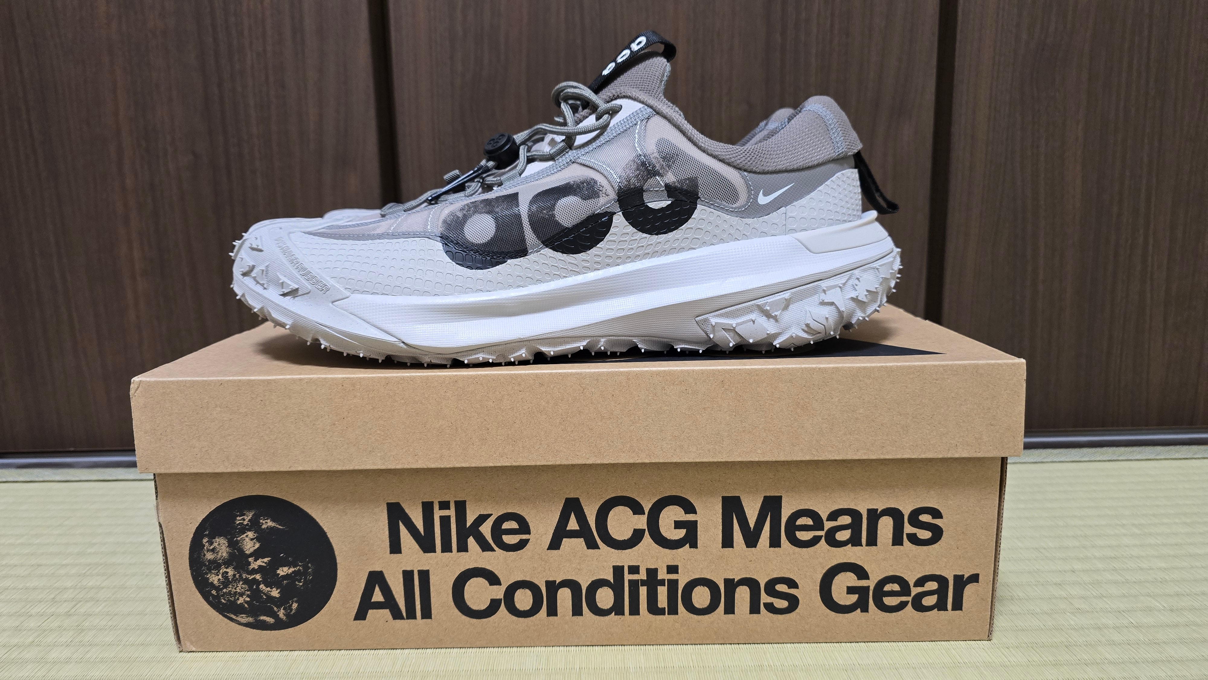 Nike ACG Mountain Fly 2 Low "Light Iron Ore"
